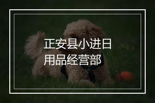 正安县小进日用品经营部
