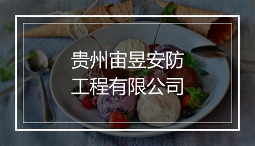 贵州宙昱安防工程有限公司