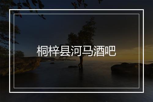桐梓县河马酒吧