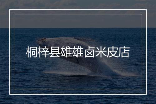 桐梓县雄雄卤米皮店