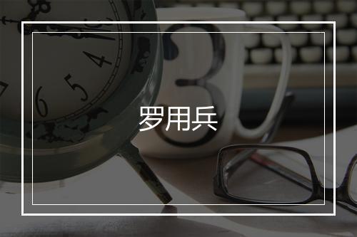 罗用兵
