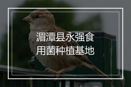 湄潭县永强食用菌种植基地