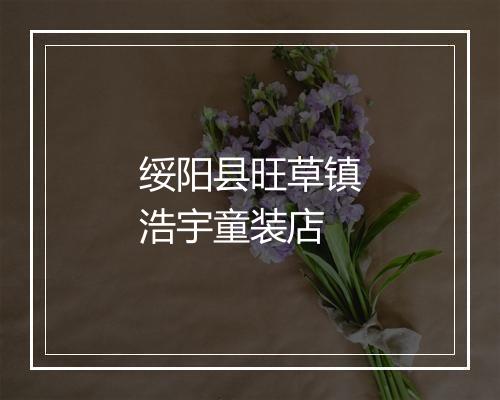 绥阳县旺草镇浩宇童装店