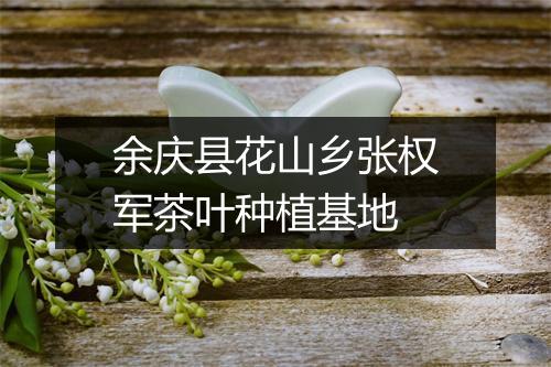 余庆县花山乡张权军茶叶种植基地