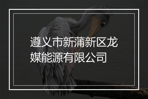 遵义市新蒲新区龙媒能源有限公司