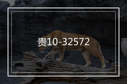 贵10-32572