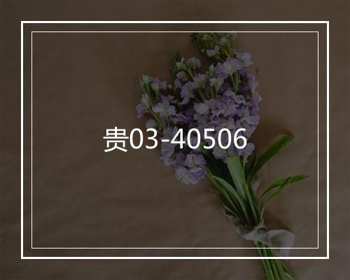 贵03-40506