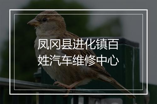 凤冈县进化镇百姓汽车维修中心