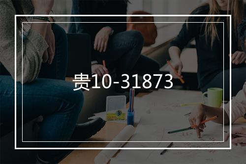 贵10-31873