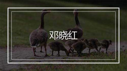 邓晓红