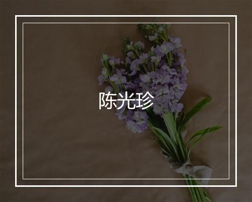 陈光珍