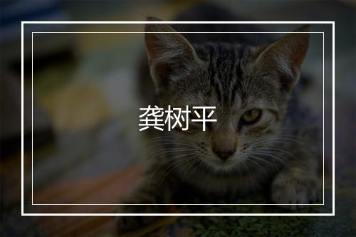 龚树平