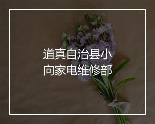 道真自治县小向家电维修部