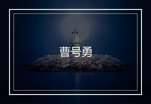 曹号勇