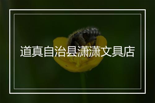 道真自治县潇潇文具店