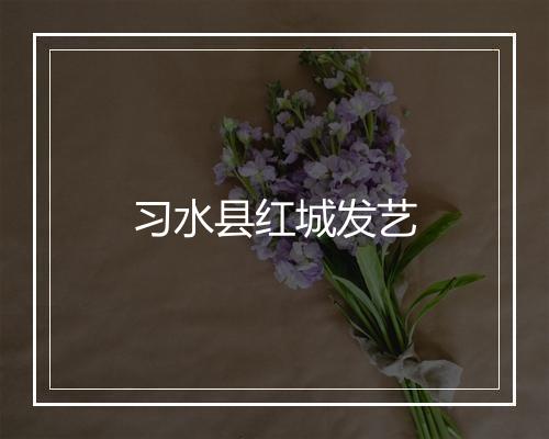 习水县红城发艺
