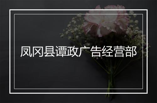 凤冈县谭政广告经营部