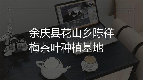 余庆县花山乡陈祥梅茶叶种植基地