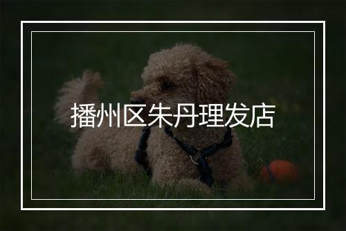 播州区朱丹理发店