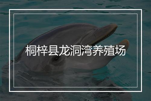 桐梓县龙洞湾养殖场
