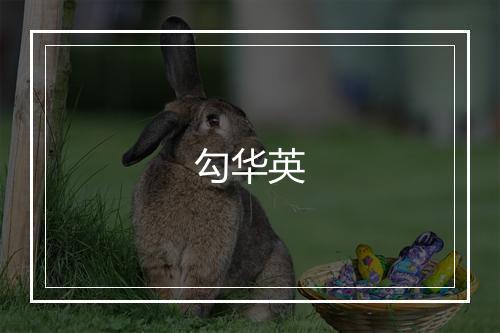 勾华英