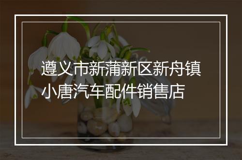 遵义市新蒲新区新舟镇小唐汽车配件销售店