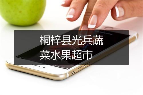 桐梓县光兵蔬菜水果超市