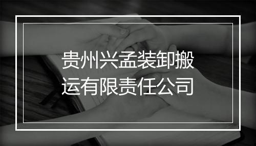贵州兴孟装卸搬运有限责任公司