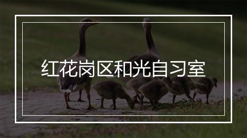 红花岗区和光自习室