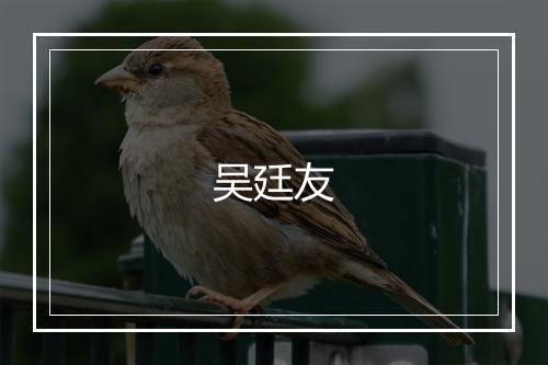 吴廷友