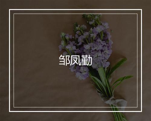 邹凤勤