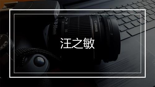 汪之敏