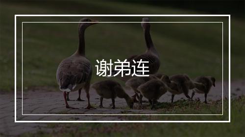 谢弟连