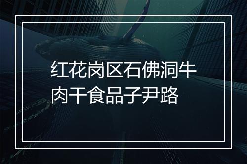 红花岗区石佛洞牛肉干食品子尹路
