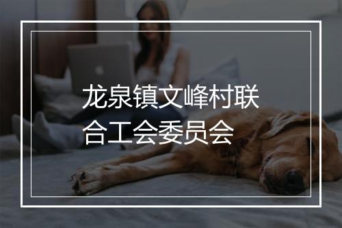 龙泉镇文峰村联合工会委员会