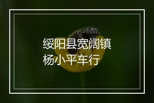 绥阳县宽阔镇杨小平车行