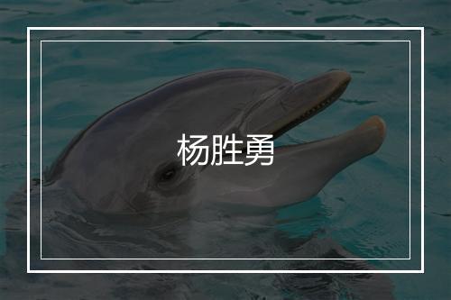 杨胜勇