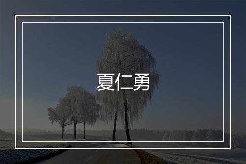 夏仁勇