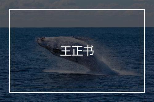 王正书