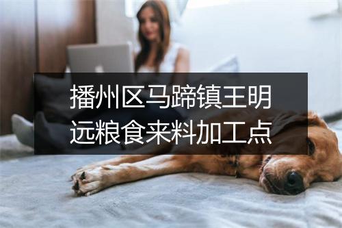 播州区马蹄镇王明远粮食来料加工点