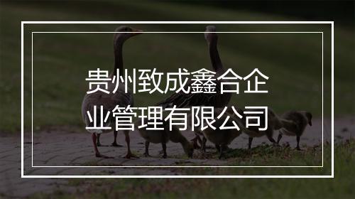 贵州致成鑫合企业管理有限公司