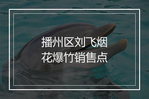 播州区刘飞烟花爆竹销售点