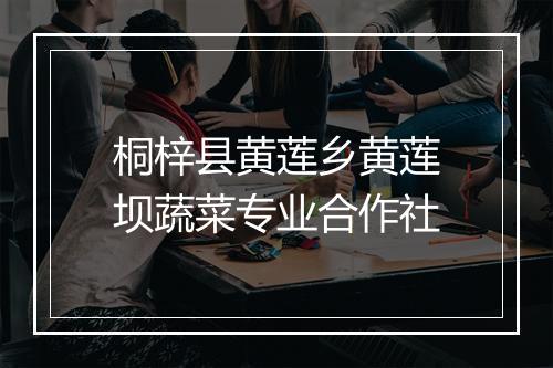 桐梓县黄莲乡黄莲坝蔬菜专业合作社