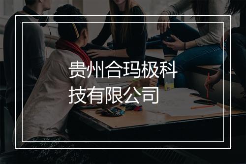 贵州合玛极科技有限公司