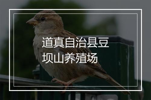 道真自治县豆坝山养殖场