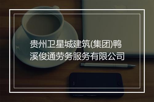 贵州卫星城建筑(集团)鸭溪俊通劳务服务有限公司