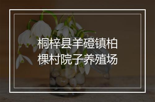 桐梓县羊磴镇柏棵村院子养殖场