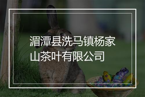 湄潭县洗马镇杨家山茶叶有限公司
