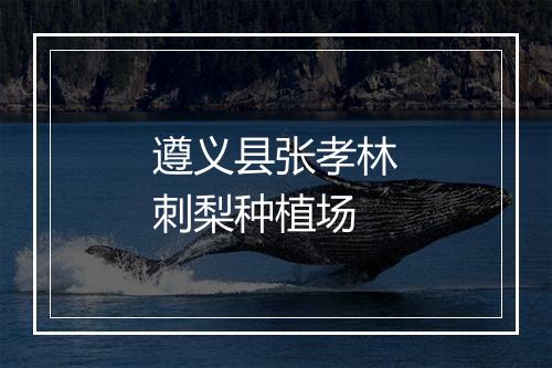 遵义县张孝林刺梨种植场
