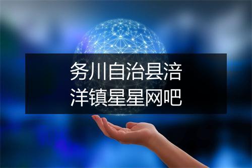 务川自治县涪洋镇星星网吧